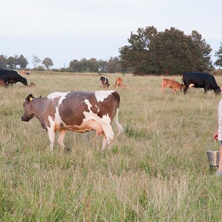 Agroturystyka Lolkowo Srokowo Ngoại thất bức ảnh