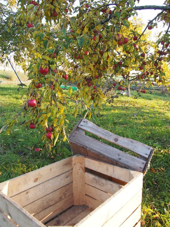 Agroturystyka Lolkowo Srokowo Ngoại thất bức ảnh