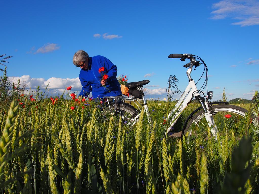 Agroturystyka Lolkowo Srokowo Ngoại thất bức ảnh