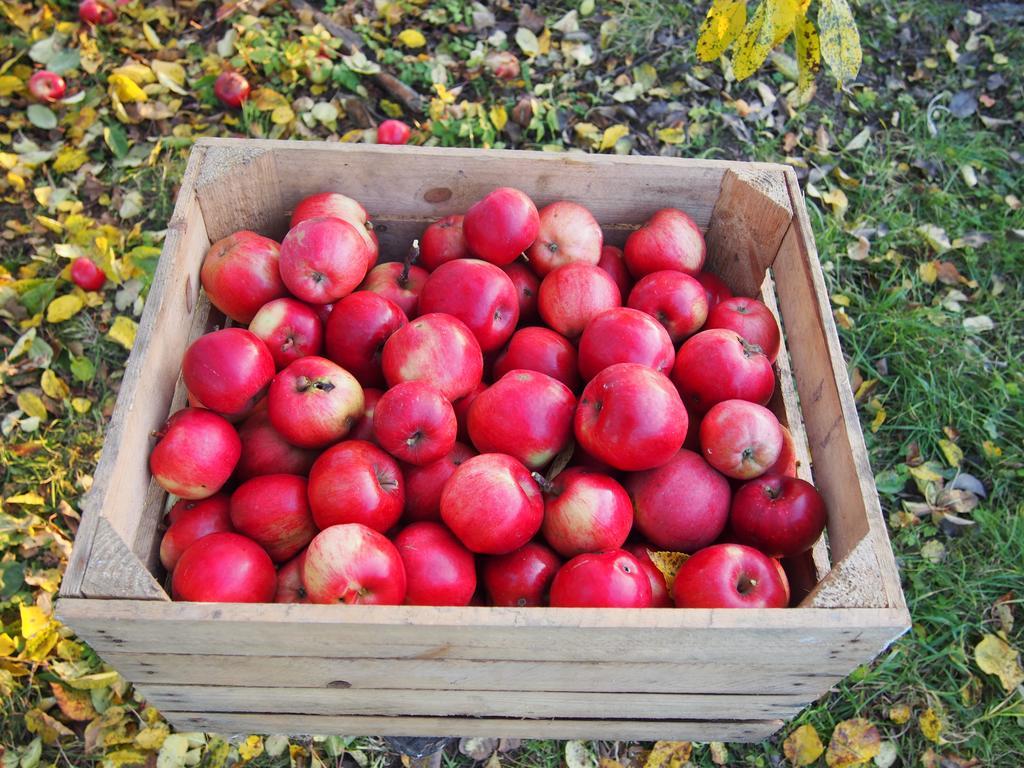 Agroturystyka Lolkowo Srokowo Ngoại thất bức ảnh